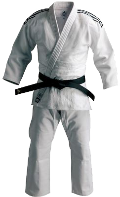 Judo Japones